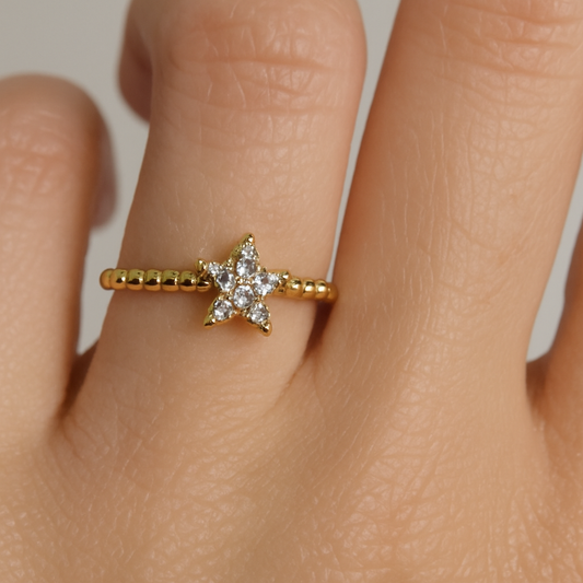 Stern Ring